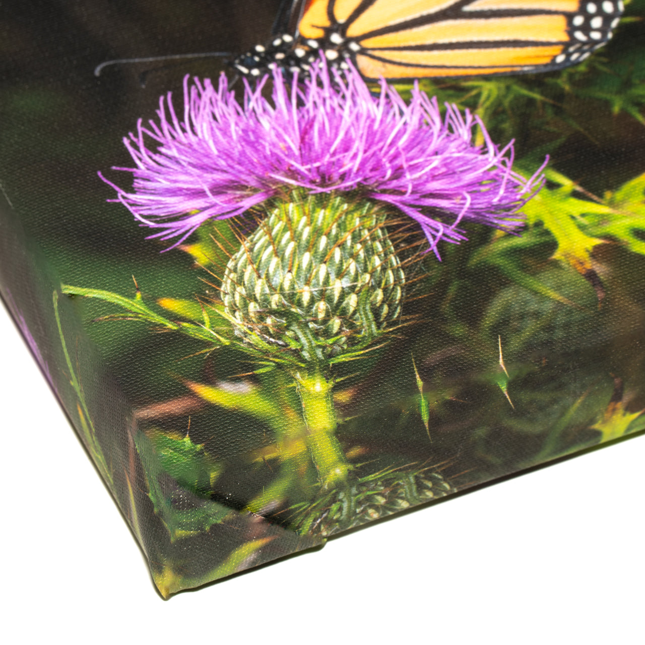 12x36 Gallery Wrap Canvas Giclée