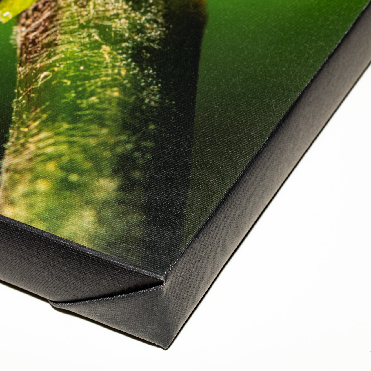 8x24 Gallery Wrap Canvas Giclée