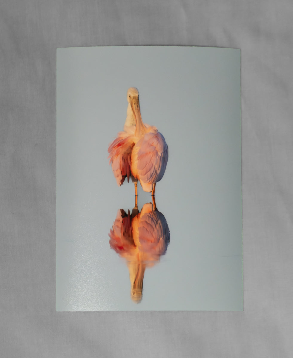 11x14 Hahnemuhle Photo Rag 308 Giclée